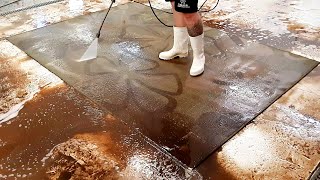 Removal of rust from flooded carpet  satisfying video  asmr cleaning [upl. by Anastasie]