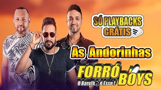 PLAYBACK  FORRO BOYS  AS ANDORINHAS  GRATIS [upl. by Yroffej882]