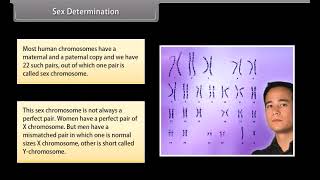 Heredity And Evolution II Class10 Biology [upl. by Adnarym844]