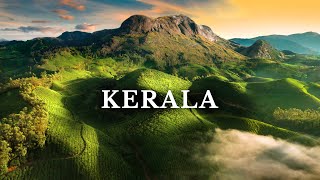 Kerala’s Most Beautiful Place Munnar  South India  Kolukkumalai [upl. by Nosirrah]