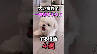 犬にこれされたら最愛の人です [upl. by Adaynek]