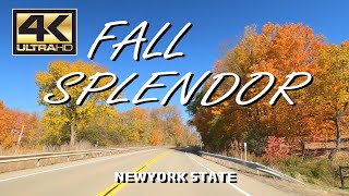 4K Scenic Drive  Newyork State  Jamestown to Ellicottville to Buffalo  Peak Fall Colors [upl. by Nyraf]