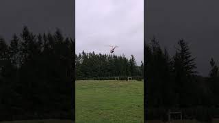 R44 Helicopter Flying Christmas Trees 2023 Part 11 [upl. by Lari255]