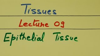 Class 9th Biology Tissues Lecture 09 Epithelial Tissue by Shilpa Chaudhary [upl. by Neimad]