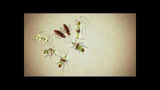 Hit Anti Roach Gel  Kannada TVC [upl. by Dnomed549]