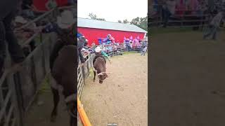 BENÍTEZ DE MORELOS VS TORO CODIGO EXCLUSIVO💥🐂 jaripeo extremo shorts [upl. by Keslie116]