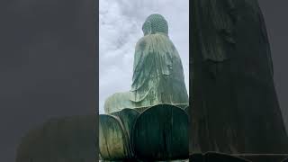 Shinsei Daibutsu The Great Buddha of Narita Temple 成田山 犬山 buddha japan [upl. by Oly]