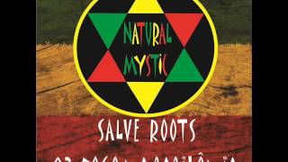 03  Natural Mystic  Fogo Na Babilônia  SALVE ROOTS [upl. by Mik796]