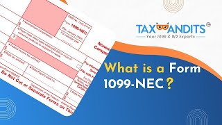 What Is Form 1099NEC Non Employee Compensation [upl. by Ybeloc]