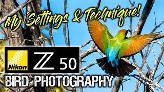 Nikon Z50 Bird Photography  My Settings amp Technique [upl. by Nob]