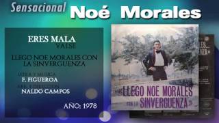 Noé Morales  Eres Mala [upl. by Nnayt]