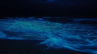 Ocean Waves for Deep Sleep  Serene Ocean Waves at Mid Night for Sleep Aid  Peaceful Waves Sounds [upl. by Anoblav825]