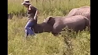 Rhino Attacks Man [upl. by Gamaliel345]