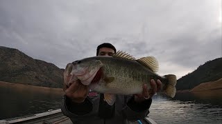 Throwing a Huddleston swimbait on Lake McClure [upl. by Lozar]