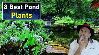 8 Best Pond Plants  Workhorse Plants Every Pond Should Have [upl. by Bamby]