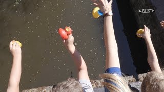 15 Zeitzer Quietscheenten Rennen Zeitz Kindergarten Grundschule Hort Wettkampf Mühlgrabe [upl. by Odette893]