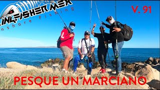 Pesque un MARCIANO La Paz BCS kingfishermex inshorefishing [upl. by Acirea]