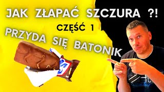 Jak złapać szczura  szczury lubią batoniki  szczury w piwnicy [upl. by Kathrine]