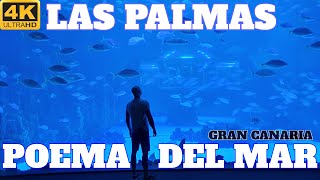 POEMA DEL MAR AQUARIUM FULL TOUR  LAS PALMAS  GRAN CANARIA  4K [upl. by Sinnek]