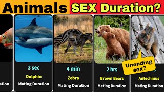 Comparisions  Animals Sex Time Duration  Longest Mating Animals [upl. by Ayatan327]