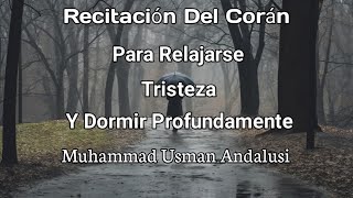 Recitación Del Sagrado Corán Para Relajarse y Aliviar Tristeza por Muhammad Usman Andalusi [upl. by Oiratno]