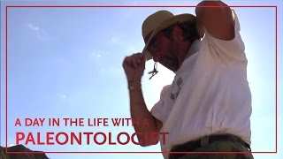 A Day in the Life of Paleontologist Thomas Carr [upl. by Adlitam]