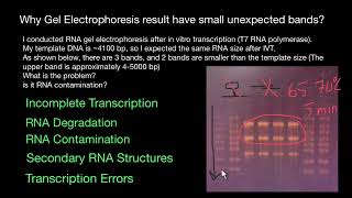 Why RNA Gel Electrophoresis result have small unexpected bands [upl. by Otecina937]