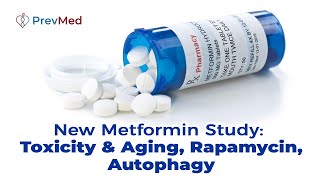 New Metformin Study Toxicity amp Aging Rapamycin Autophagy [upl. by Zena]