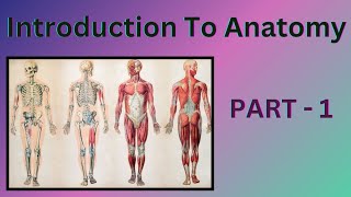 Introduction To Anatomy Directional Anatomical terminologyAnatomical termBengaliNursingAdda [upl. by Elisabet902]