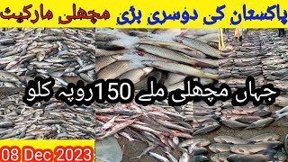 Karachi Ki Sasti Fish Market  Karachi Fishery Latest On 8 Dec 2023 Fruit Sabzi Fish Market Karachi [upl. by Ereveneug904]