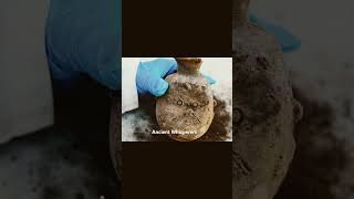 Uncovering 4400YearOld Tomb at Saqqara Egypt egypt darkhistory ancientegypt discovery weird [upl. by Yrag]