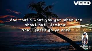 Coco Jambo  voiceguided KARAOKE [upl. by Eah]