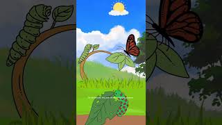 The Hungry Caterpillar Story In English moralstories childrensstories [upl. by Anaili]