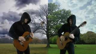 Vivaldi Storm Guitar [upl. by Iliram]