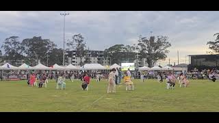 women musical chair competition sydney khed mela 3 Nov 2024 blacktown blacktown show groundSydney [upl. by Bonnibelle]