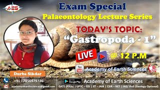 Exam Special  Gastropoda Part 1  Palaeontology [upl. by Lukas]