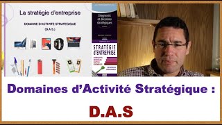 DAS Domaine dactivité stratégique  explication et exemples [upl. by Anibor976]