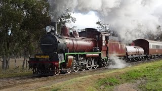 C17 974  SDSR Steam Train to Wallangarra  6082016  Part 1 of 2 [upl. by Sulakcin]