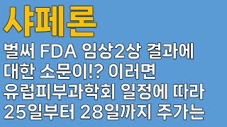 샤페론 주가전망◀ 브릿지바이오 기술계약 해지가 어쩌고 저쩌고 답답합니다 이러면 28일까지 주가는 샤페론 FDA샤페론 아토피샤페론 유상증자샤페론 임상 [upl. by Peta]