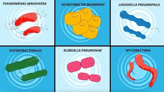 Infection prevention amp Hygiene Opportunistic bacterial pathogens [upl. by Atig]