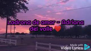 Ladrona de amor Adriana del valle ❤️ con letra [upl. by Aicirtak671]