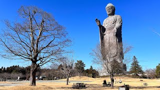 Ushiku Daibutsu 🙏 Ibaraki Japan [upl. by Ettari]