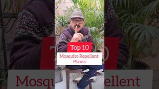 10 Mosquito Repellent Plants You Can Grow  ये पौधे उगाइए मच्छर भगाइए homegardening plants [upl. by Acnaib185]