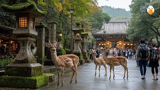 Nara Japan🇯🇵 Discover the Magical City Where Deer and Temples Coexist 4K UHD [upl. by Ahsekan913]