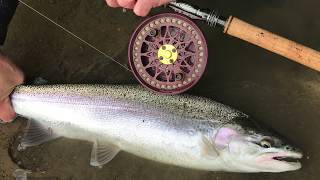 Centerpin Casting and Techniques Featuring Danny Colville Of Colville Outfitters [upl. by Miehar]