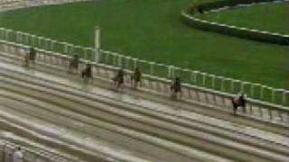 1998 Beldame Stakes [upl. by Saisoj468]