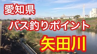 矢田川 愛知県 バス釣りポイント ブラックバス [upl. by Sulienroc]