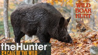 Hirschfelden Hunting Reserve Wild Boar Attack [upl. by Randolf]