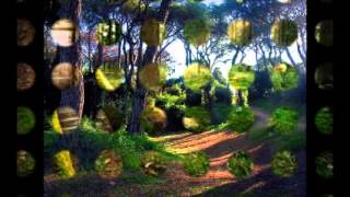 BOB JAMES ENCHANTED FOREST [upl. by Eimmaj]