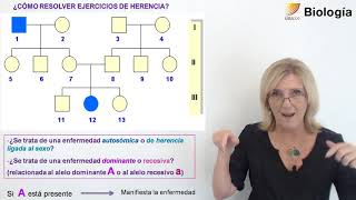 55 BiologíaGenética y Herencia [upl. by Annaes]